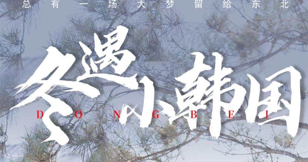 7 days in Little Korea in winter Fairytale Bear Ridge + Trendy skiing